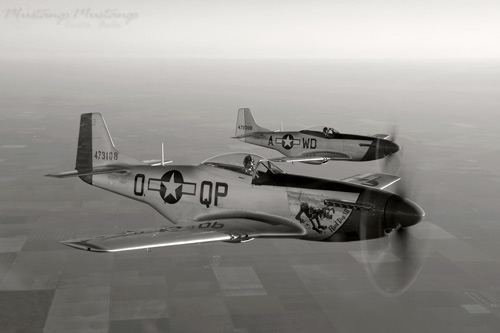P-51 Mustang at Black & White