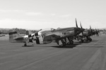 p51flightline.4508s.jpg