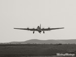 3o7_B-17_8bws.jpg