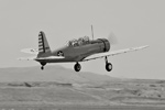 3o7_BT-13_6055s.jpg