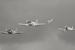 SD6_0122s.jpg