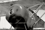 WW5_2818s.jpg