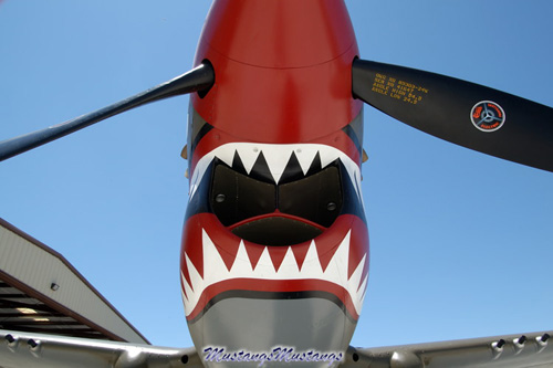 P-51 Mustang at Warbirds