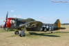 P-47_3296t.jpg
