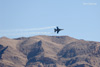 Nellis08_883t.jpg