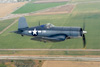 POF8_4375dt.jpg