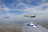 MF8_1562t.jpg