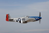 MF8_1577t.jpg