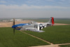 MF8_1691t.jpg
