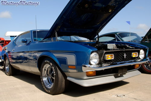 P-51 Mustang at Mustangsx2 05