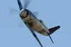 RN6_8058t.jpg