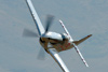 RN6_8522vt.jpg