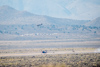 Reno_2014-75829t.jpg