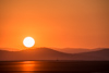Reno_2014-30910t.jpg
