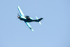 Reno_2014-53672t.jpg