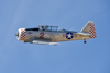 Reno_2014-41721t.jpg