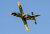 CurtisFowles-Reno2016-164926t.jpg