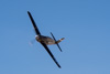 CurtisFowles-Reno2016-165312t.jpg