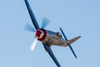 CurtisFowles-Reno2016-166175t.jpg