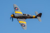 CurtisFowles-Reno2016-168272t.jpg