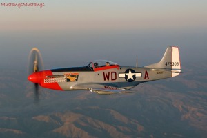 P-51 Mustang