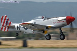 P-51