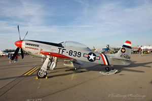 P-51