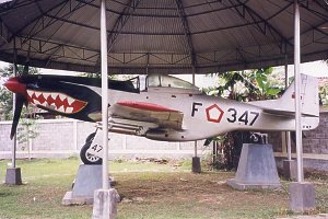 P-51 Survivor IAF347 
