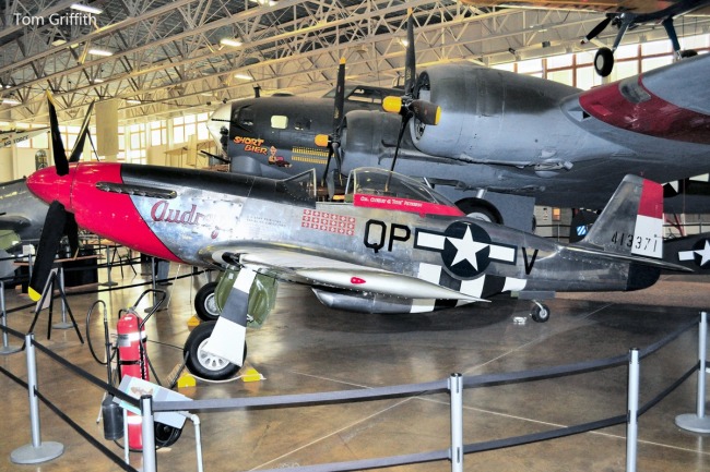 P-51 Survivor 44-13371 