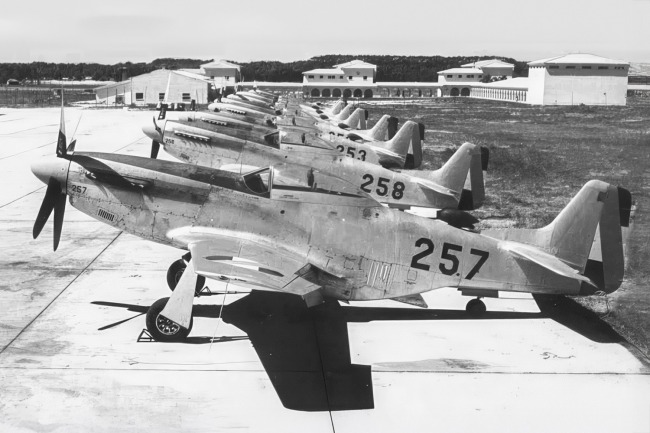 P-51 Survivor 44-63517 