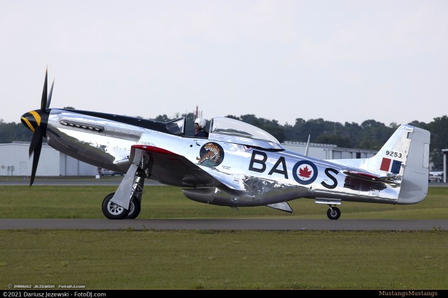 P-51 Survivor 44-72059 N951HB