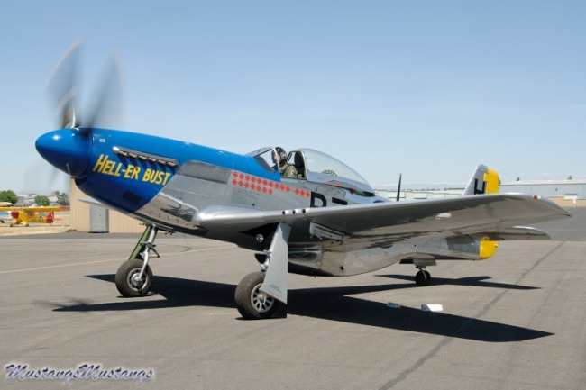 P-51 Survivor 44-72438 N7551T