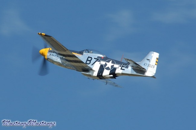 P-51 Survivor 44-73029 N51JB