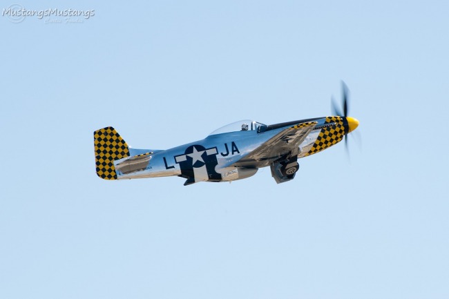 P-51 Survivor 44-73079 N451EA