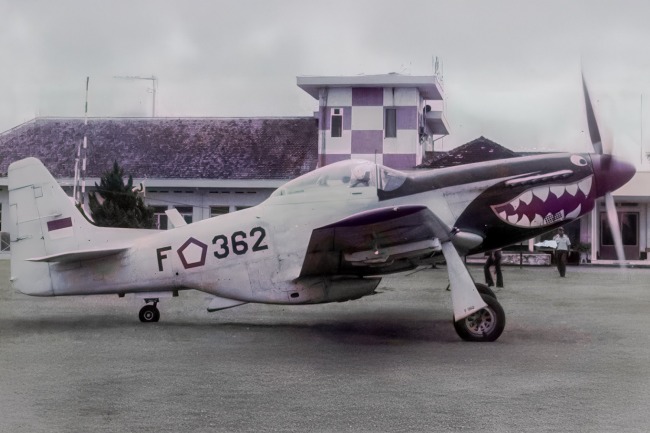 P-51 Survivor 44-74229 