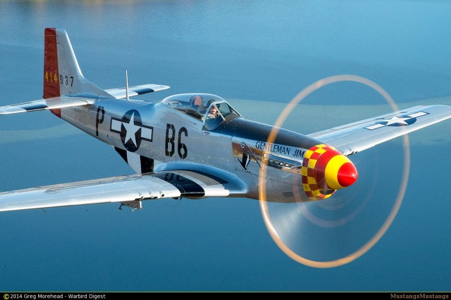 P-51 Survivor 44-74230 N551J