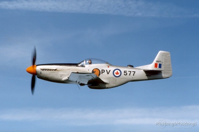 P-51 Survivor 44-74311 N151KM