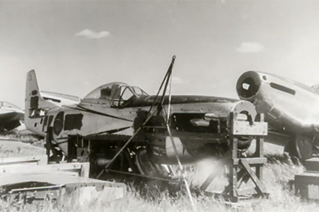 P-51 Survivor 44-74429 