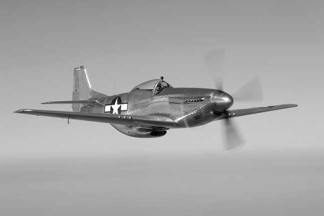 P-51 Survivor 44-74501 N1763B