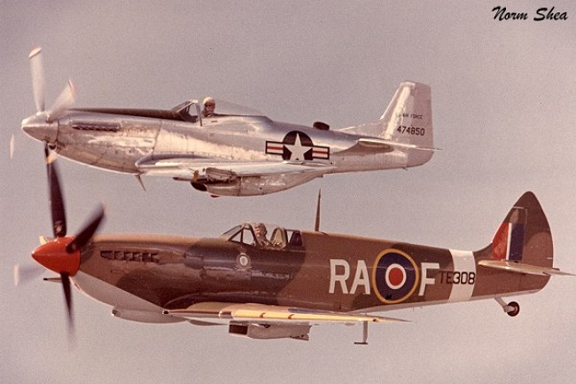 P-51 Mustang Survivors - MustangsMustangs.com
