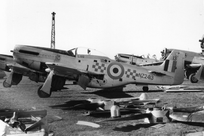 P-51 Survivor 45-11503 