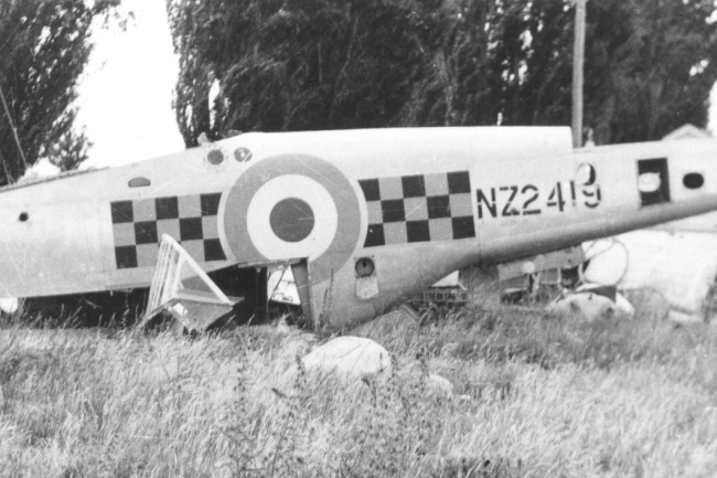 P-51 Survivor 45-11509 