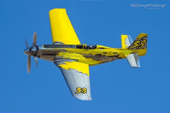 P-51 Survivor 87-4488 N6WJ