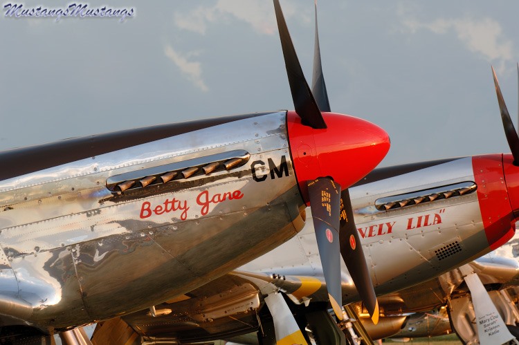 42-103293_00102_cf1.jpg