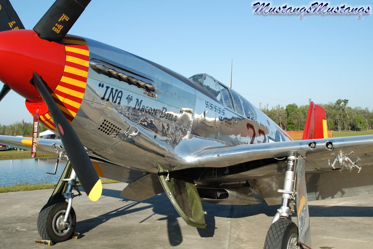42-103831_00149_cf1.jpg