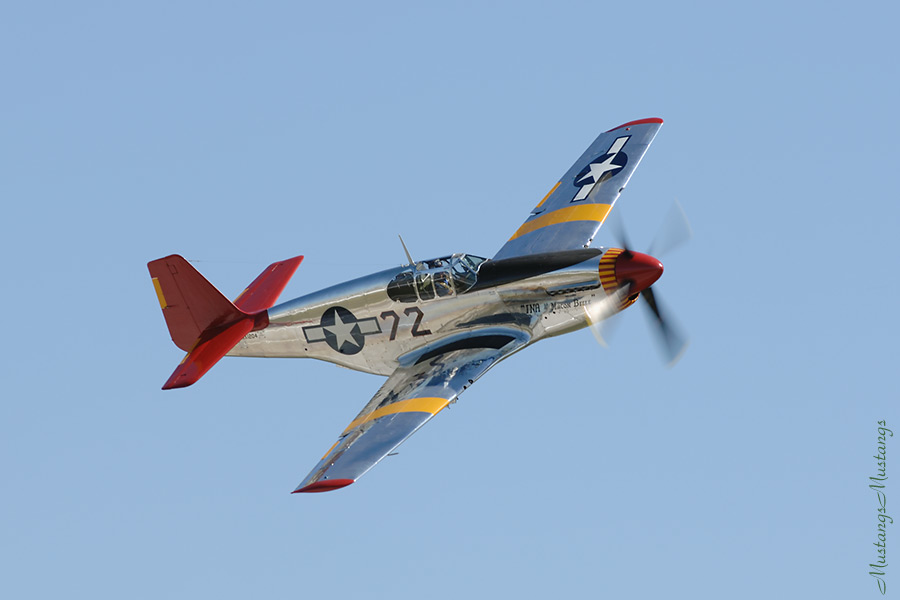 42-103831_00200_cf1.jpg