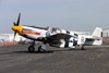P-51