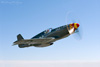 P-51