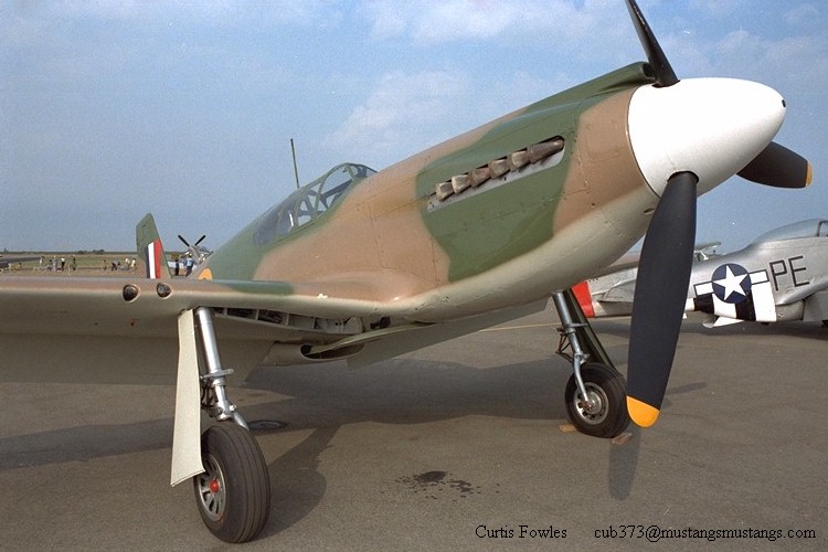 43-6251_00399_cf1.jpg