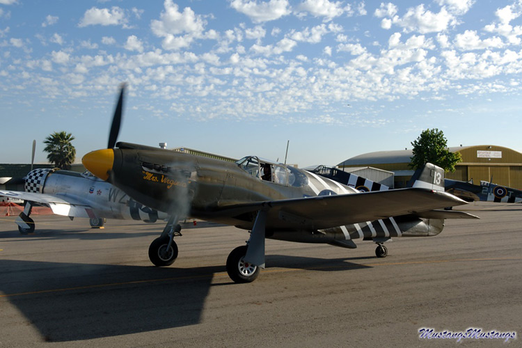 43-6251_00414_cf1.jpg
